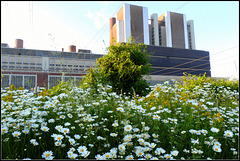 Power plant flower