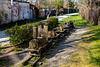 Zug am Ringgleis ;-)