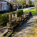 Zug am Ringgleis ;-)