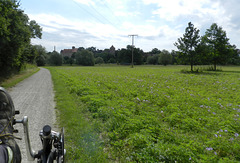 Approaching Castle Hohenerxleben