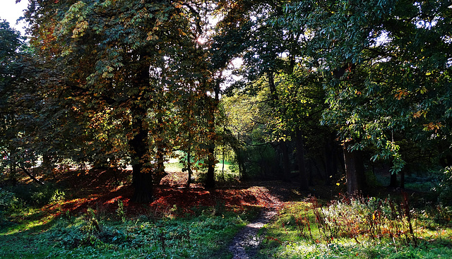 Heaton Park. Newcastle