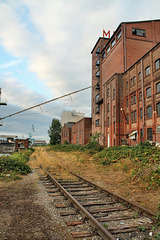 Gleis vor dem stillgelegten Muskator-Werk (Düsseldorf-Hafen) / 29.09.2016