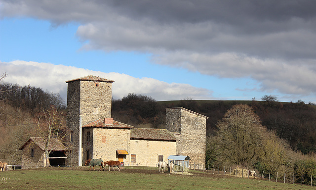 Saint-Quentin-Fallavier (38) 1 mars 2014. La maison forte des Allinges.