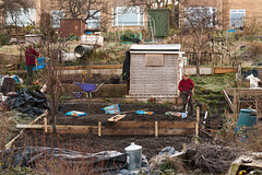 Canal Bank Gardeners, Bath