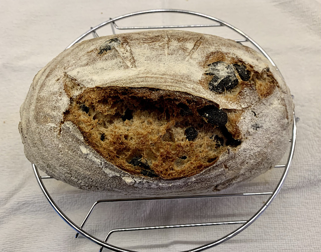 Because of a Coeliac at home presently I am banished to the dairy kitchen for my sourdough bread making!