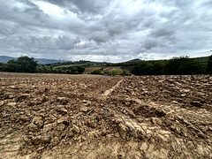 Plowed fields and cloudy sky.