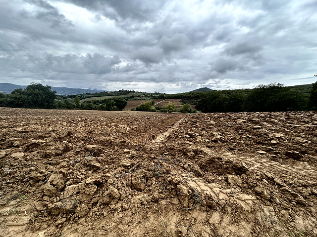 Plowed fields and cloudy sky.