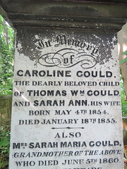 abney park cemetery, london,detail of the monument to caroline gould, +1855, showing reiteration of the paint on the lettering, presumably refreshed with each added burial