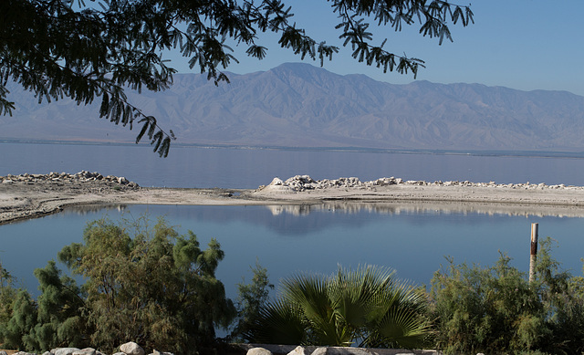 Salton Sea (# 0118)