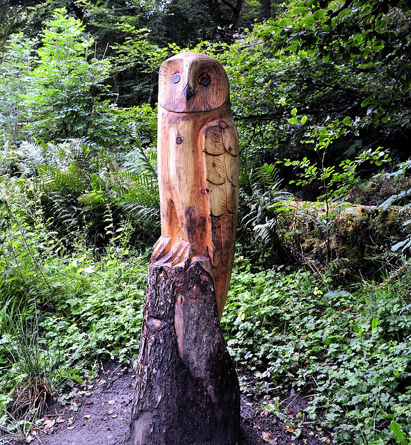 Wooden owl.