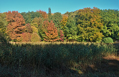 Herbst im Harburger Stadtpark