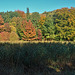Herbst im Harburger Stadtpark