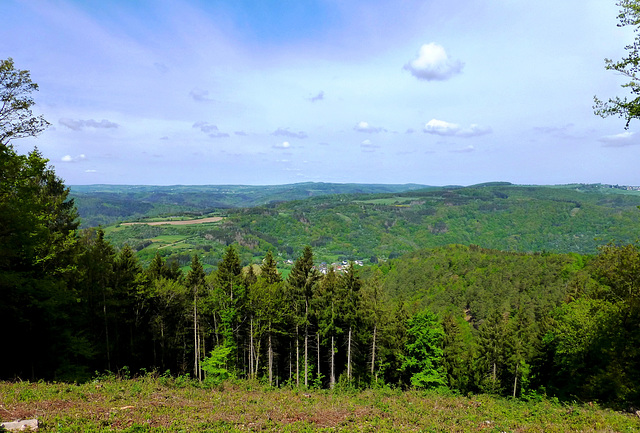 DE - Hönningen - Blick vom Teufelsleyweg