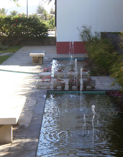 Fountain in house's backyard.