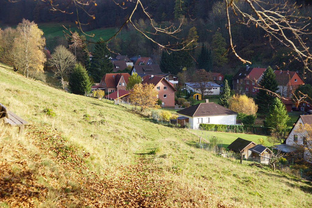 Talblick