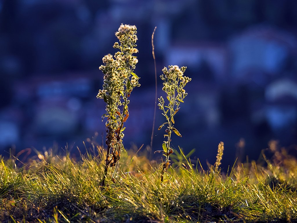 The light along the ridge and dark at the valley