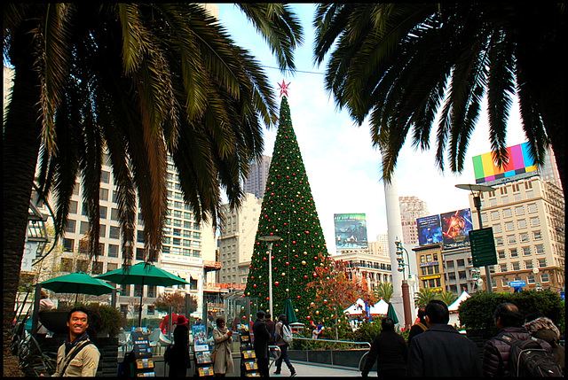 A Christmas shot at San Francisco, CA
