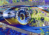 Blue Eye