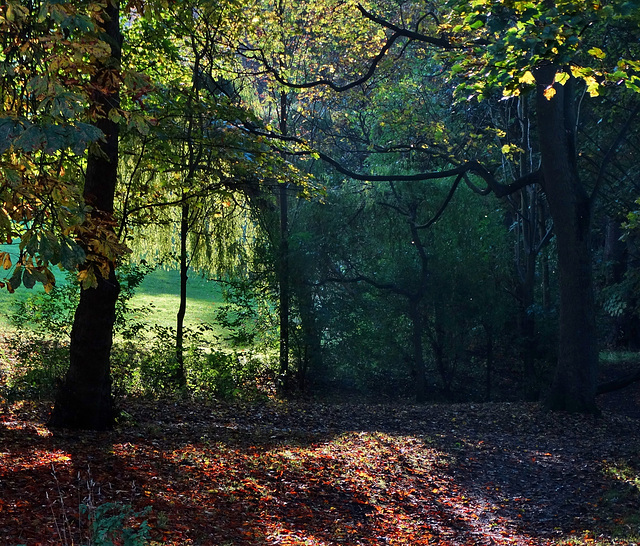 Heaton Park. Newcastle