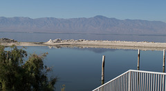 Salton Sea (# 0121)