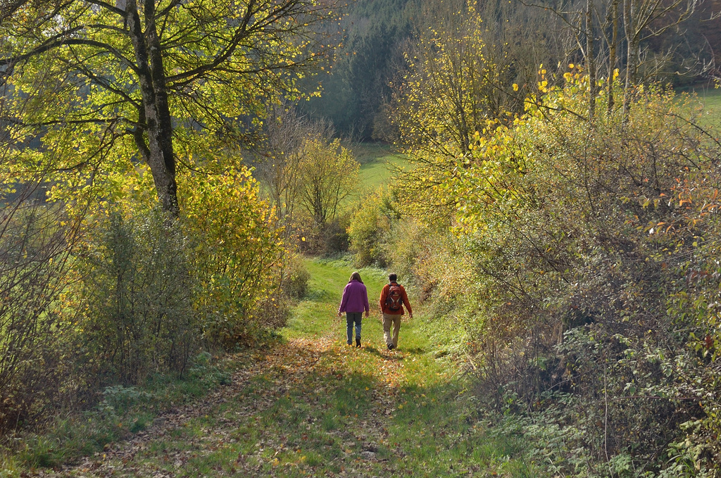 Herbstspaziergang