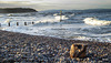 Breezy afternoon at Findhorn Beach