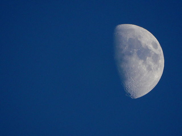 Madame La lune hier soir