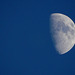 Madame La lune hier soir
