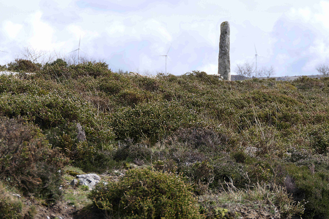 Pedra d'Anta