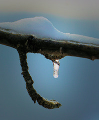 Kleiner Eiszapfen...,