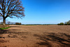 -feld-02641-co-09-04-17