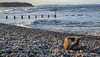 Breezy afternoon at Findhorn Beach