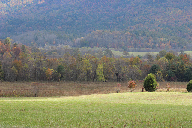 Great Smokey Mountains.... 11-21