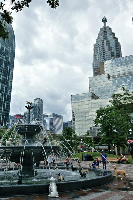 Berczy Park, Toronto