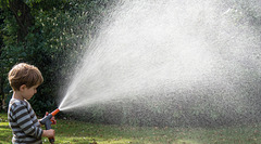 Homepage Picture Example (4c)