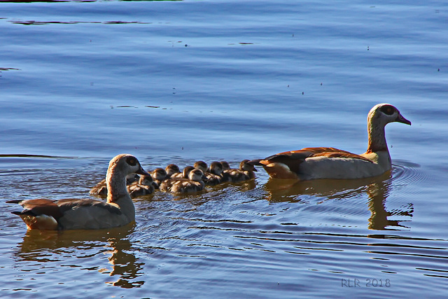 Familienausflug