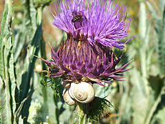 DSCF9818+++