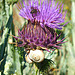 DSCF9818+++
