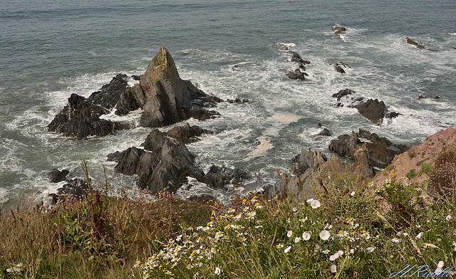 Wild sea's, jagged rocks and gentle fauna.