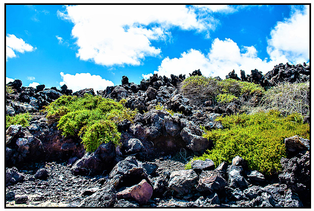 Lava Landschaft