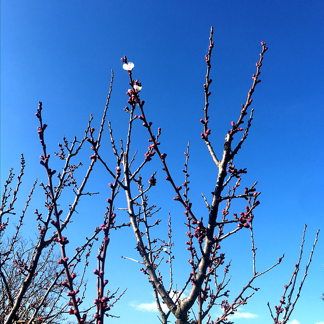 Blue sky.