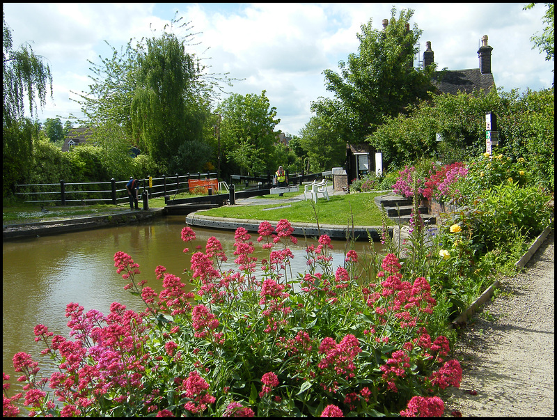 valerian by the canal