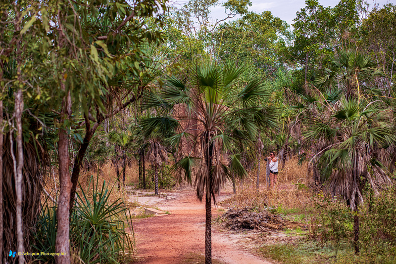 Litchfield National Park - Termites & Shutterbug