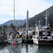 Seward harbour