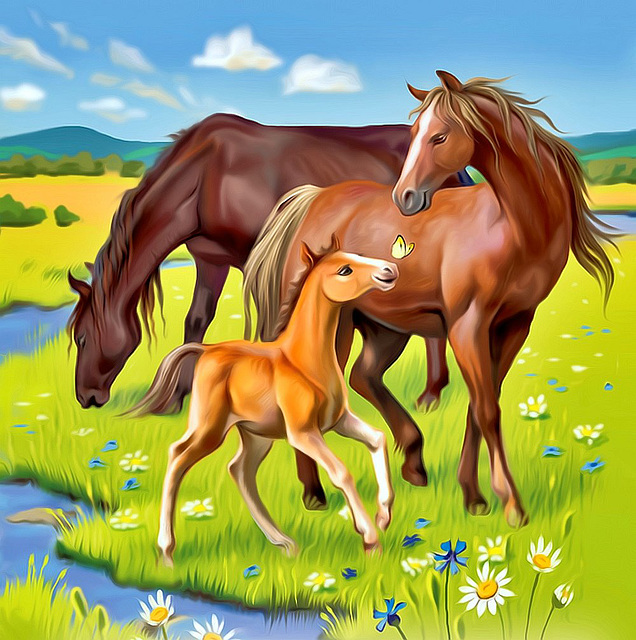 horses