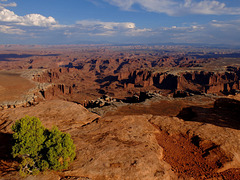 Sunset in Canyonlands