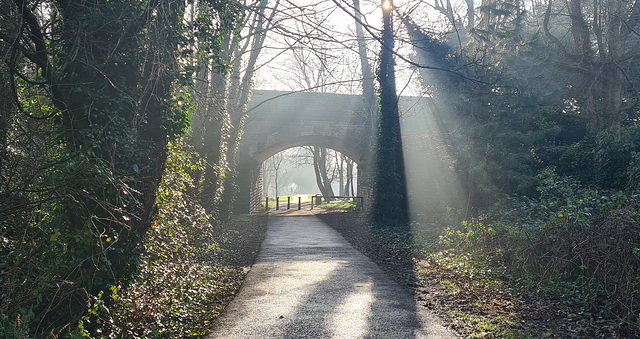 Misty morning