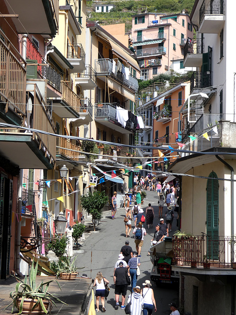 Manarola