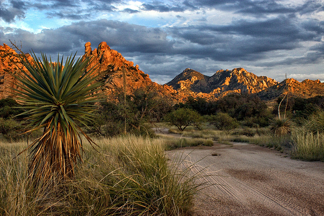 The Dragoon Mountains