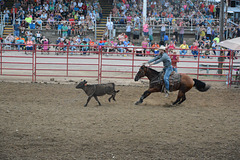 Calf roping is hard